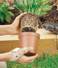 3pp thumb splints help people with arthritis do everyday activities with less pain