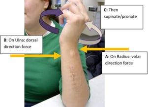 Blog - ortho principles