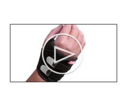 video-carpalp-2